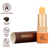Lip Balm - Calendula & Honey With Organic Ghee & 7 Cold Pressed Oils|0.1232Oz|0.0077lbs