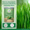 Organic India Wheat Grass