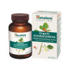 Organic Ashwagandha