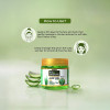 Indus Valley Bio Organic Pure Aloe Vera Gel with Green Tea Extract|6.16Oz|0.385lbs