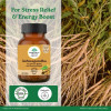 Organic  Ashwagandha Capsules