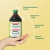 Baidyanath Asli Ayurved Bhringrajasava Liquid Syrup | 450 Ml | 15.22 fl oz [Fittuber Recs]