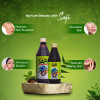 Hamdard Safi Blood Purifier|200 ml|6.76 fl oz [Fittuber Recs]
