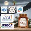 Ayurved Hub Raw Organic Nature's Honey from Himachal Pradesh 500g | NMR Tested, ISO Certified, Unprocessed, Unpasteurized, Pure & Natural (1x500g)