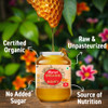 Bagrry's Organic Honey, Premium, Pure, Natural Organic Honey 500gm| 100% Certified Organic, No Added Sugar, Rich in Nutrients, Antioxidants