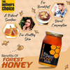 The Believers Choice Raw Organic Forest Honey, Wild, Unprocessed, Unheated, Non Pasteurized, Original Honey 100% Pure and Natural, Collected from Deep Forest - 500 Grams Glass Jar (Pack of 2)