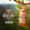 Dabur Raw Organic Honey - 500g | 100% Pure and Natural | NPOP Organic Certified | Raw, Unprocessed & Unpasteurized Honey | Good for Heart Health | Sourced from the Nectar of Wild Flowers