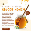 Future Organics Ginger Honey – 100% Pure & Natural Honey with Fresh Ginger | No Added Sugar, No Color | Healthy – 350g