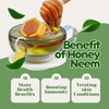 Future Organics Neem Honey | Pure Organic Neem Oil with Forest Honey 250g