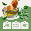 Future Organics Pure Neem Honey - 250 G Each (Pack of 2)