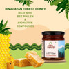 God Choice Organic Farms - 230gm Himalayan Forest Honey | Raw Wild Forest Honey | Unpasteurized | Unprocessed | Unfiltered | Unblended | Sugar Free | Pure & Organic Honey | NMR Tested | Natural Immunity Booster for all age groups (Glass Jar)