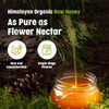 JUST ORGANIK- Himalayan Raw Forest Honey – 500ml | 100% Organic | Himalayan Organic Raw Honey | 100% Pure Raw & Unprocessed Honey | Glass Jar for Long Shelf Life | Single stage filtered | Ayurvedic | No Sugar Adulteration