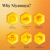 NIYAMAYA Himalayan Honey 500 gm | 100% Pure Natural Raw Honey Unpasteurized & Unprocessed No Added Sugar Multi Flora Himalayan Honey Organic Honey in Fresh