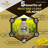 ONE BEE ORGANIC | Mustard Flora/White Cream Honey | Natural Flora Honey - 280 GM.