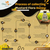 ONE BEE ORGANIC | Mustard Flora/White Cream Honey | Natural Flora Honey - 280 GM.
