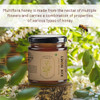 Organic Assets Pure Natural Multiflora Honey 250 gm | Raw, Unprocessed & Rich in Nutrients | Perfect for Daily Wellness