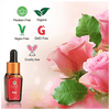 Organic Harvest Rose Oil|10 ml