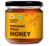 Organic Tattva Wild Raw Honey, 250g, Unprocessed and Natural