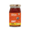 Pro Nature Organic Honey|500 g