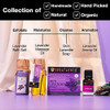 Soulflower Festive Day Beauty Gift Box Lavender Try Me Gift Pack For Men Women, 100% Natural Organic|5 pcs