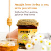 Upaveda Organic Raw Honey 250g | 100% Pure, NMR Tested, Unfiltered & Unprocessed | USDA & NPOP Certified | No Added Sugar | Rich in Antioxidants