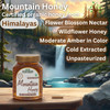Uttarakhand Natural Products Mountain Honey 500gm - 100% Natural, Organic Wildflower Honey from the Devbhumi Uttrakhand Region, Rich in Flavor & Nutrients (1x500gm)