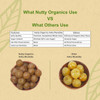 NUTTY ORGANICS Dried Amla Murabba 500 GM | Vitamin C Rich Digestive Treat | Healthy & Natural Sweet Snack | Immunity Booster NUTTY ORGANICS Dried Amla Murabba 500 GM | Vitamin C Rich Digestive Treat | Healthy & Natural Sweet Snack | Immunity Booster