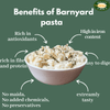 Millet Amma Barnyard Penne Pasta |180gm|0.40 lbs