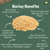 MILLET AMMA Organic Barley Grain 500gm|1.1 lbs
