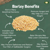 MILLET AMMA Organic Barley Grain 500gm|1.1 lbs