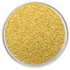 MILLET AMMA Unpolished ORGANIC Foxtail Millet Grain| (korralu | Korra | Thinai | Kaon | Kang | Kangni | Kakum | Navani ) | Rich in Fibre Than Rice & Dietary fibre , Good Diabetic Food, Low GI , Gluten free |500gm|1.1 lbs