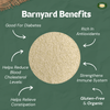 Barnyard Millet Rava 500 Gms ( Sujji ) | Stone Ground | Healthy Diet Food | Suitable for Multiple Millet Recipes ( Upma , Rava Idly ) , Gluten Free, High Fiber, No Preservatives by MILLET AMMA|500gm|1.1 lbs