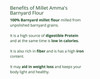 MILLET AMMA Barnyard Millet Flour | Freshly Made with Unpolished Millet | (Udalu, Oodalu, Kuthiravali, Swank) | High Fiber & Rich in Proteins & Minerals |500gm|1.1 lbs