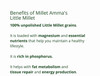 MILLET AMMA Organic Little Millet Combo Pack of 3 | Little Millet Grain + Little Millet Rava + Little Millet Flour | 500gm Each |1500gm|3.31 lbs