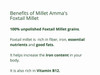 Millet Amma Organic Foxtail Millet Combo Pack of 3 | Foxtail Grain + Foxtail Rava + Foxtail Flour | 500gm Each |1500gm|3.31 lbs