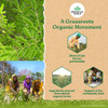 Organic India Moringa Powder |200gm|0.44 lbs