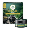 Organic India Shilajit Resin 20 gm by Organic India|90gm|0.2 lbs