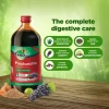 Zandu Pancharistha Ayurvedic Digestive Tonic, 650 ml