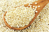 Organic Quinoa Seeds | Kinova Seeds by Radha Govind|1800gm|3.97 lbs