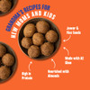 Early Foods Jowar & Flax Seeds A2 Ghee Laddoos by EARLY FOODS|250gm|0.55 lbs