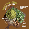 Early Foods Moringa Chutney Powder by EARLY FOODS|150gm|0.33 lbs