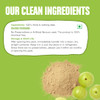 Early Foods Sun-Dried Amla Powder by EARLY FOODS|100gm|0.22 lbs