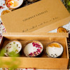 Thenga Eco-Friendly Coconut Candles Gift Box | Set of 3 Soy Wax Candles | Handcrafted Upcycled Coconut Shell Candles – Sustainable Gifting |300gm|0.66 lbs