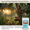 Neotea Organic Coconut Jaggery |500gm|1.1 lbs