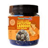 Tummy Friendly Lactation Laddoos – Flax Seeds & Ginger   |250gm|0.55 lbs