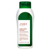 Jiva Aloe Vera Lotion Pack of 1   |200gm|0.44 lbs