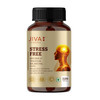 Jiva Stress Free Tablets | 120 Tablets Pack of 1   |120gm|0.26 lbs