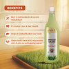 Jiva Wheatgrass Juice Pack of 1   |1000gm|2.2 lbs