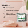 Jiva Ayush Kwath Powder Ayurvedic Immunity Booster Pack of 1   |150gm|0.33 lbs