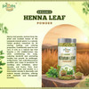 Kalaasha Organics - Organic Henna Leaf Powder   |100gm|0.22 lbs